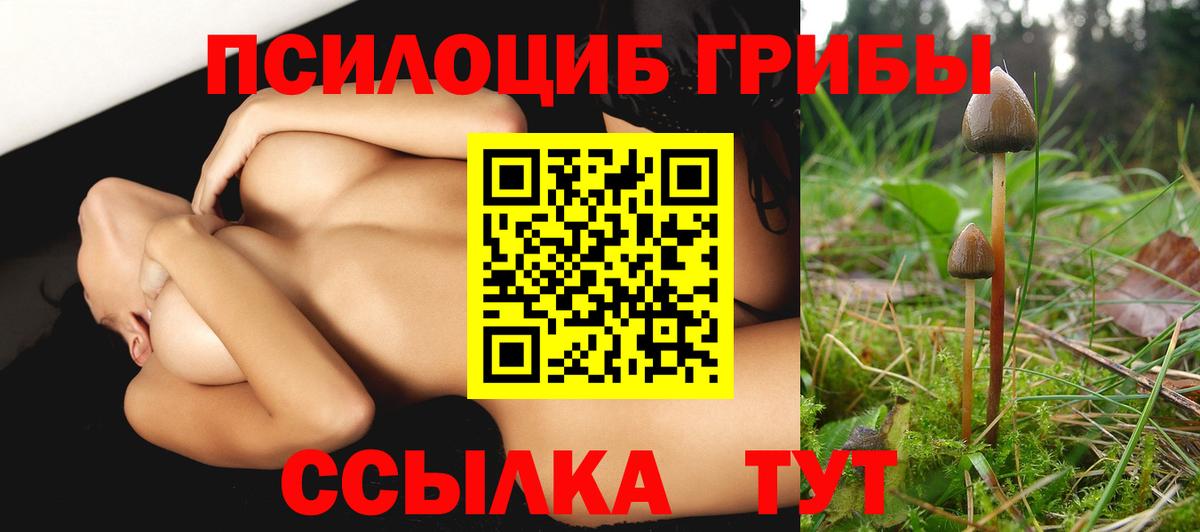 Галлюциногенные грибы Cubensis Абинск